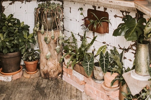 Potten en bakken in verschillende natuurlijke materialen: hout, terracotta, klei - Terras Tuinieren