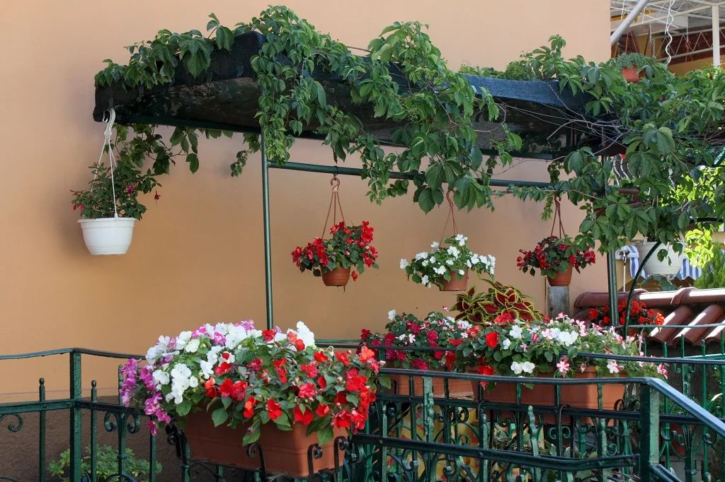 Telemacos Tegen aanraken Een plantenbak kiezen voor jouw terras of balkon – Terras tuinieren