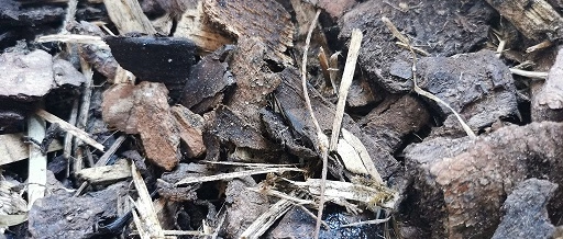 Mulchlaag van schors en dennenafval - Terras Tuinieren